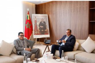 Assurance agricole: Aziz Akhannouch reçoit le PDG du groupe MAMDA-MCMA, Hicham Belmrah