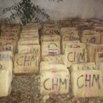 Laâyoune- mise en échec d'une tentative de trafic de plus de 1,8 tonne de chira