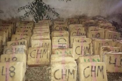 Laâyoune- mise en échec d'une tentative de trafic de plus de 1,8 tonne de chira