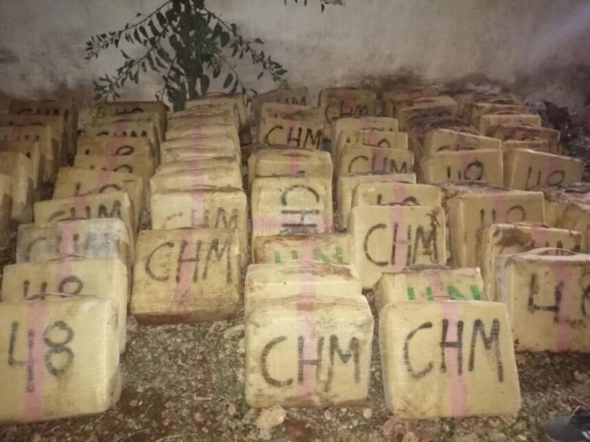 Laâyoune- mise en échec d'une tentative de trafic de plus de 1,8 tonne de chira