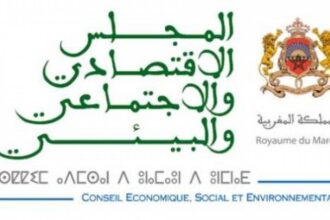 L’essentiel de l’avis du CESE sur la lutte contre les Fake News