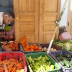 Sécurité alimentaire: Le Maroc doit investir dans la résilience