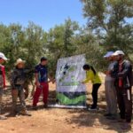 Al Moutmir: Malgré la sécheresse, le rendement moyen de l'oléiculture grimpe à 20%