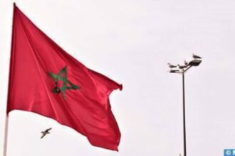 Maroc-Serbie : Le potentiel de la coopération économique et commerciale est ''énorme'' (Ambassadeur)