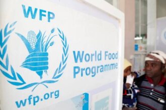 Programme Alimentaire Mondial : Le mandat du Maroc reconduit pour la troisième année consécutive