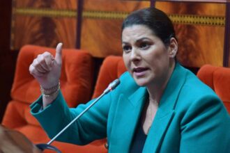 Régions menacées de séismes: Fatima Zahra Mansouri fait le point